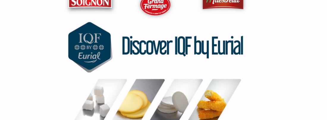 Discover IQF