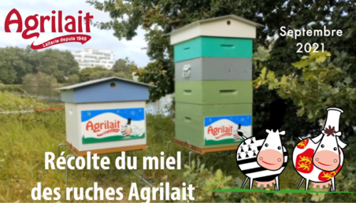 agrilait ruches