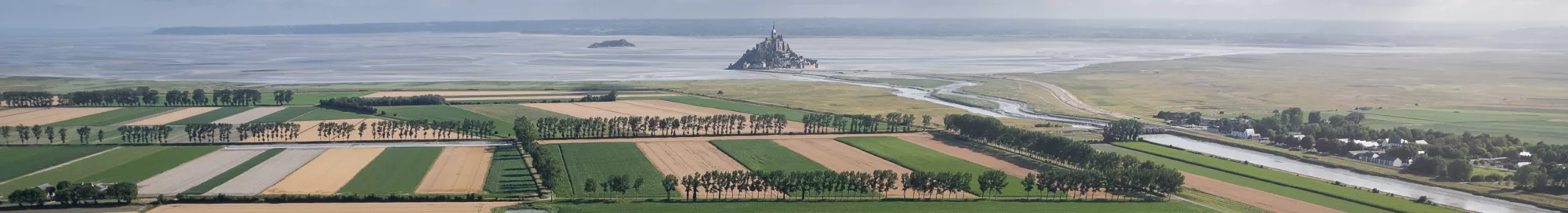 Agrial - vue mont saint michel-01
