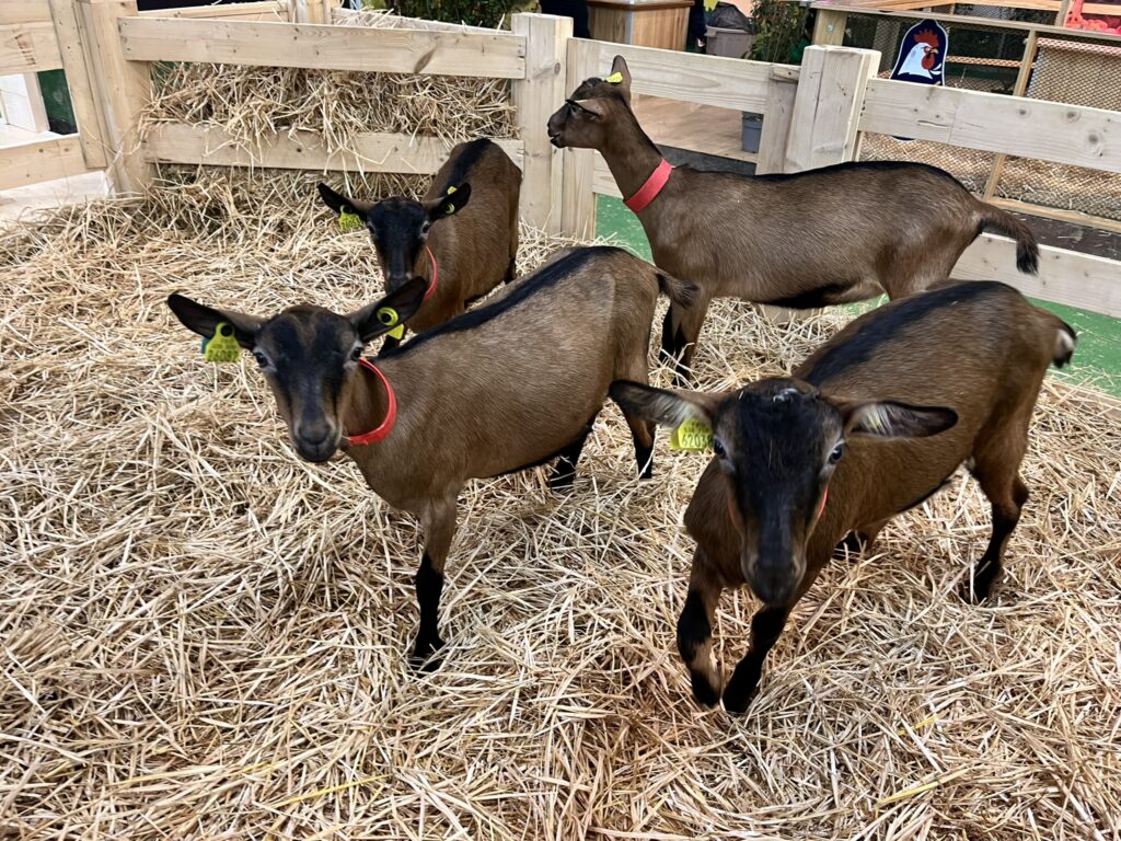 Chevrettes Salon de l'Agriculture 2026